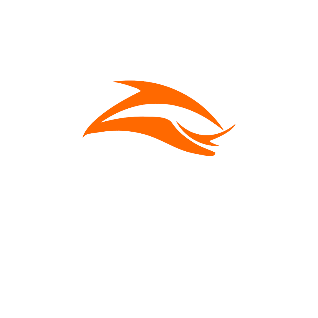 What Is SaaS? / SaaS Nedir?